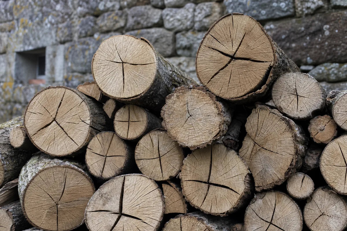 Taux d'humidité du bois de chauffage : le seuil des 20 %